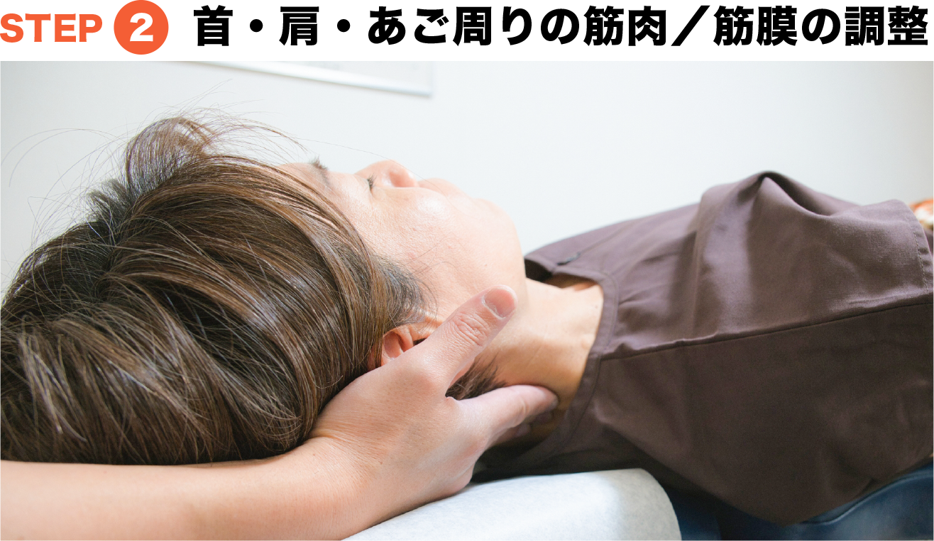 首・肩・あご周りの筋肉／筋膜の調整