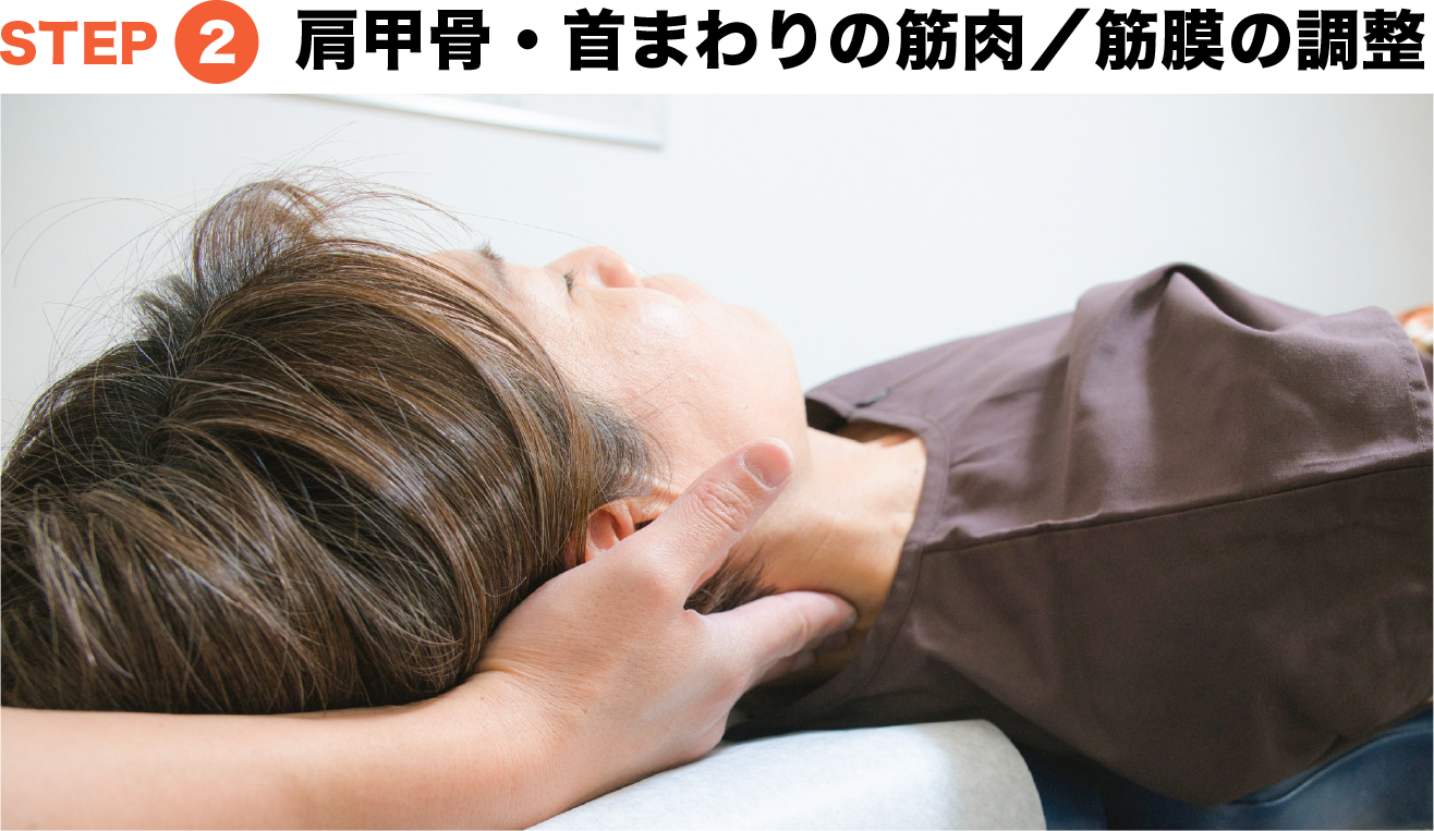 肩甲骨・首まわりの筋肉／筋膜の調整